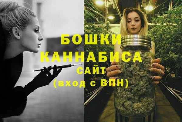 метадон Белокуриха