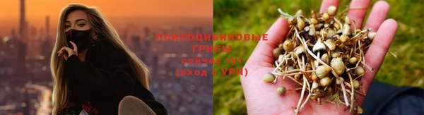 метадон Белокуриха